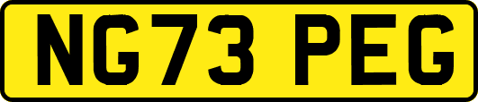 NG73PEG