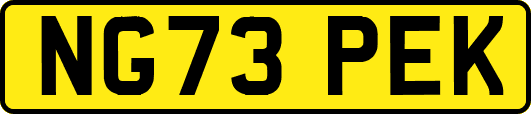 NG73PEK