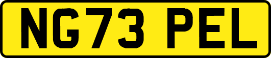 NG73PEL