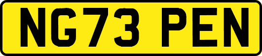 NG73PEN