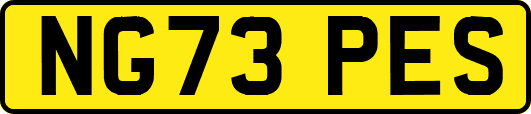 NG73PES
