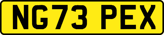 NG73PEX