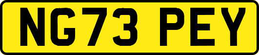 NG73PEY