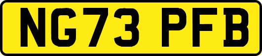 NG73PFB