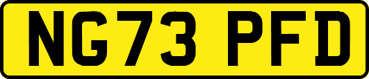 NG73PFD