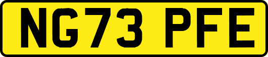 NG73PFE
