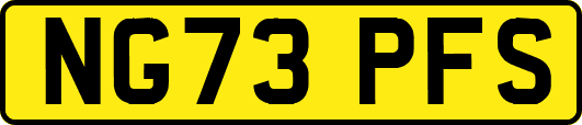 NG73PFS
