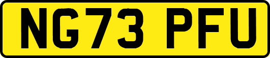 NG73PFU