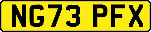 NG73PFX