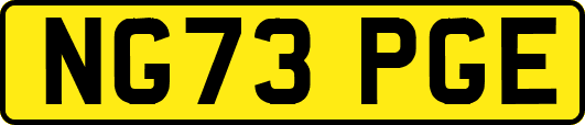 NG73PGE