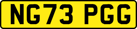 NG73PGG