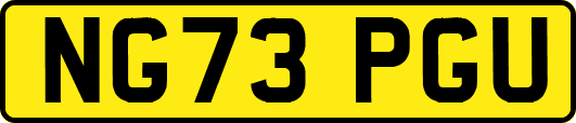 NG73PGU