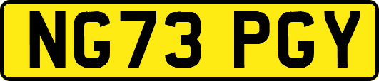 NG73PGY