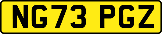 NG73PGZ