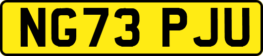 NG73PJU