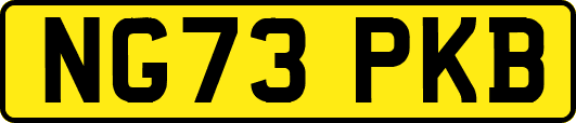 NG73PKB