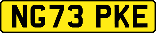 NG73PKE