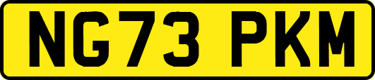 NG73PKM
