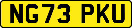 NG73PKU