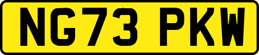 NG73PKW