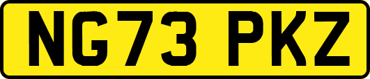 NG73PKZ