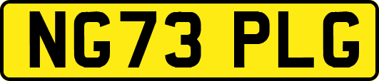 NG73PLG
