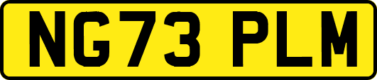 NG73PLM