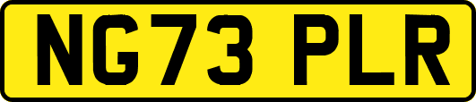NG73PLR