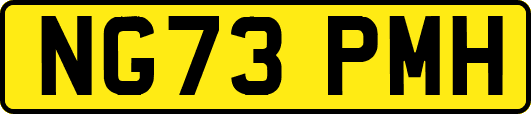 NG73PMH
