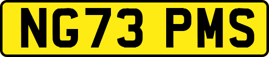 NG73PMS