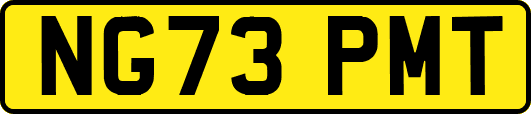 NG73PMT
