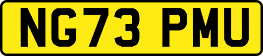 NG73PMU