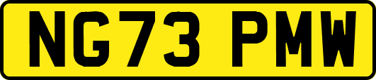 NG73PMW
