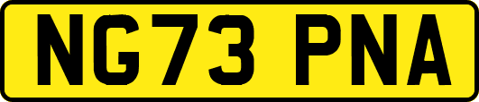 NG73PNA