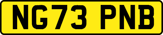NG73PNB