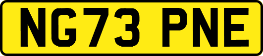 NG73PNE