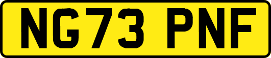 NG73PNF