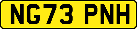 NG73PNH