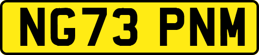 NG73PNM