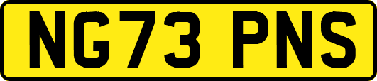 NG73PNS