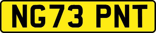 NG73PNT