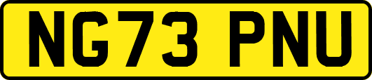 NG73PNU