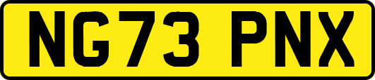 NG73PNX
