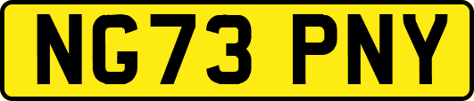 NG73PNY