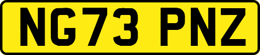 NG73PNZ