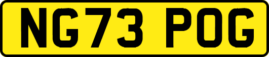 NG73POG