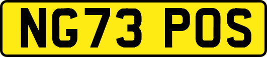 NG73POS