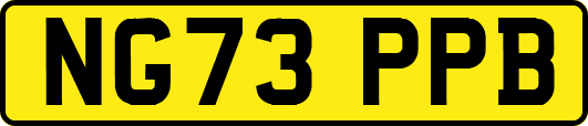 NG73PPB