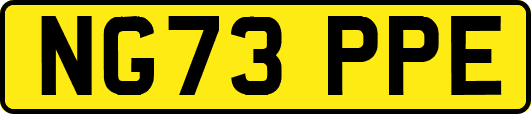 NG73PPE