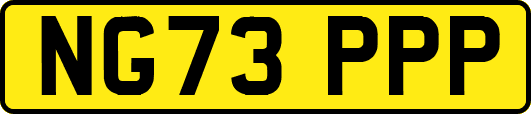 NG73PPP
